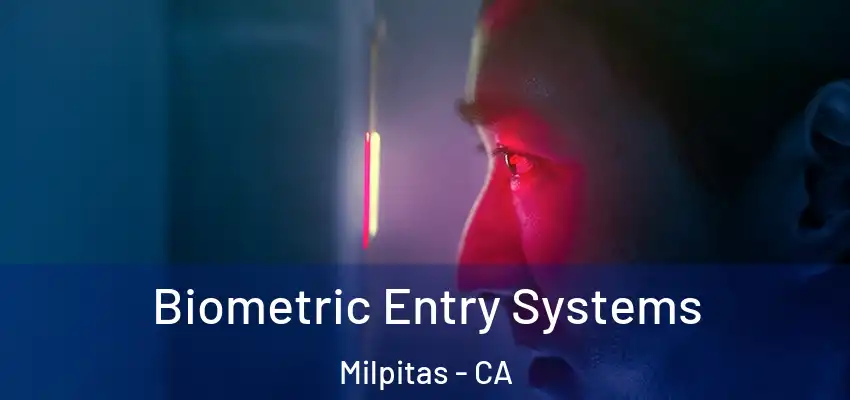  Biometric Entry Systems Milpitas - CA
